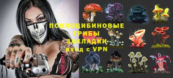 тгк Алексин